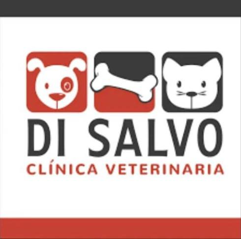 publicidad veterinaria disalvo